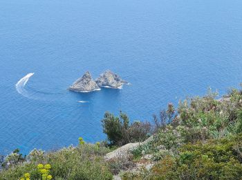 Trail Walking La Seyne-sur-Mer - Janas Sicié - Photo