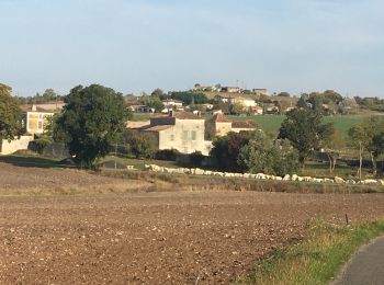 Percorso Marcia Fouquebrune - Fouquebrune (rando de la Motte) - Photo