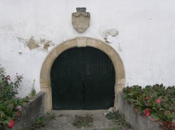 Tocht Te voet Gemeinde Poysdorf - Föllimer Weg - Photo