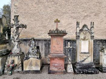 Tour Zu Fuß Grevenmacher - FB Grevenmacher I - Photo