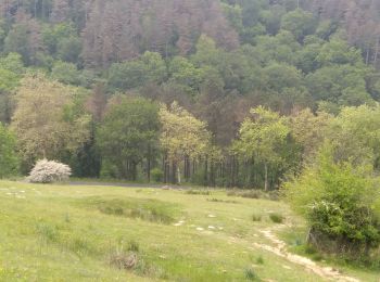 Randonnée Marche Urrugne - Sentier des mulets  - Photo