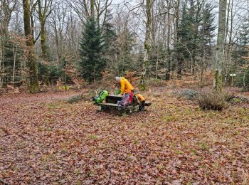 Trail Walking Burnhaupt-le-Haut - Rando du 09/02/2024 par Alain...Pont d'Aspach - Photo