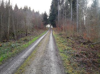 Tour Zu Fuß Rudolfstetten-Friedlisberg - Friedlisberg - Hafnerberg - Photo