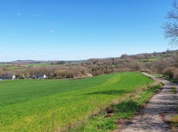 Randonnée Marche Beauraing - Balade à Winenne - Beauraing - Photo