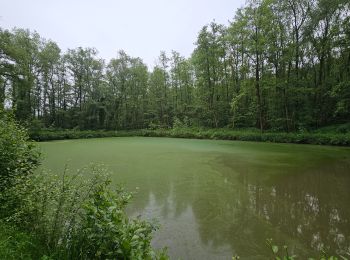 Randonnée Marche Gembloux - Balade de Gembloux à Corroy-le-Château - Photo