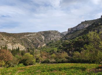 Tour Wandern Embres-et-Castelmaure - TBG ACAD Embrres Castelnau final - Photo