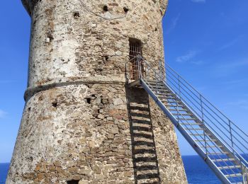 Percorso Marcia Zonza - fautèa - lavu santu - Photo