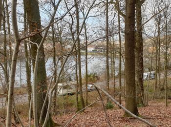 Excursión Bici de montaña Clamart - Le bois de clamart à VTT - Photo