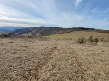 Trail Walking Esclanèdes - Bruel  - Photo