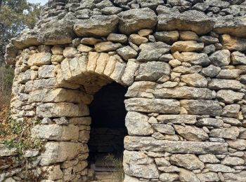 Tocht Stappen Buoux - Seguins-Sivergues 18.3.23 - Photo