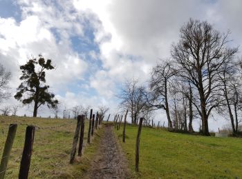 Randonnée Marche Olne - Nessonvaux - Photo