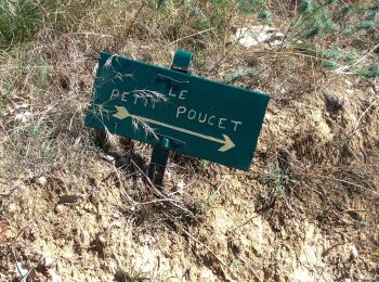 Randonnée Marche Cotignac - Cotignac le petit Poucet  - Photo