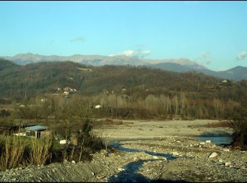 Tocht Te voet Lucca - Variante Sud Via Francigena - Photo