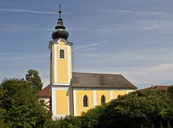 Excursión A pie Göpfritz an der Wild - Kräuterweg 43 - Photo