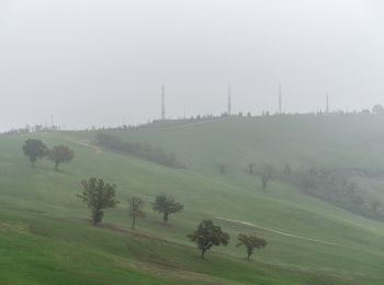 Tour Zu Fuß Scandiano - Anello di Ca' de Caroli - Photo