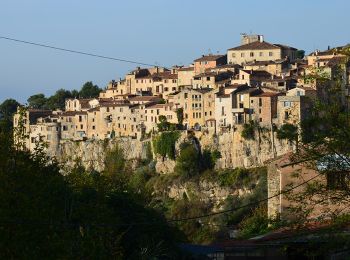 Tocht Stappen Tourrettes-sur-Loup - Tourettes sur Loup - Puy Naouri - Chapelle St Raphaël - Photo