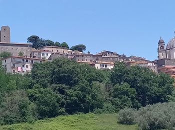 Randonnée Marche Bolsena - Acquapendente / Montefiascone - Photo