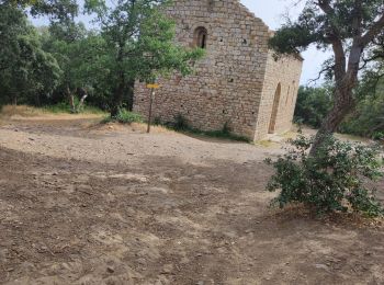 Tocht Elektrische fiets Argelès-sur-Mer - Argelès sur Mer  - Photo