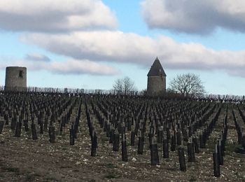 Randonnée Marche Bessac - Bessac (modifié) - Photo