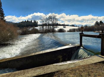 Trail On foot Oye-et-Pallet - Les Grands Communaux - Photo