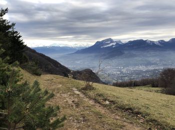 Randonnée Marche Saint-Alban-Leysse - MontBasin-2020-12-17 - Photo