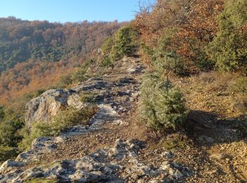 Tour Wandern Saint-Georges-les-Bains -  col de Rotison - Photo