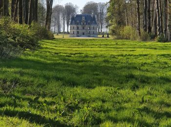 Randonnée Marche Angerville-Bailleul - Angerville-Bailleul- Anouville-Vilmesnil - Photo