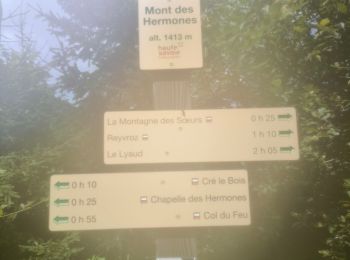 Tour Wandern Orcier - Rando Mont d'Hermone - Photo