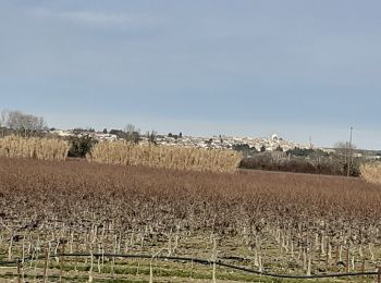 Randonnée Marche Montfrin - Montfrin   chapelle St Amand - Photo