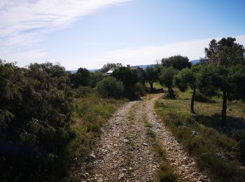 Tour Nordic Walking Saint-Ambroix - 08.06.20 piste - Photo