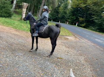 Trail Horseback riding Badonviller - Kalio Joyeux chapelotte grotte des poilus - Photo