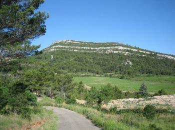 Tocht Stappen Saint-Couat-d'Aude - Reco Officielle Marche RED'S 15.10.2022 - Photo