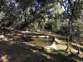 Excursión Marcha nórdica Labastide-de-Virac - la Bastide de Virac (pont d'Arc)  - Photo