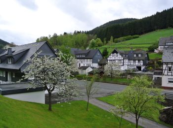 Tocht Te voet Bestwig - Bödefeld Rundweg B3 - Photo