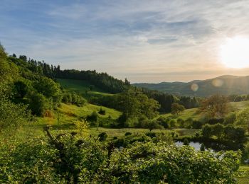 Randonnée A pied Lautertal - Rundwanderweg Reichenbach 4: Hohenstein-Weg - Photo