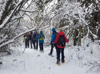 Trail Snowshoes Fraroz - rando raquette haut joux - Photo