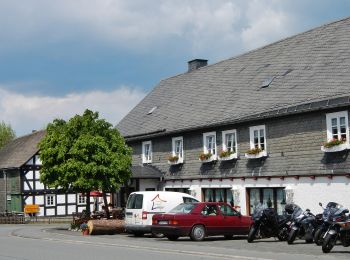 Percorso A piedi Medebach - Schloßberg Rundweg A2 - Photo