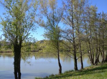 Tour Wandern Peyrins - 26 peyrins 08 05 2021 - Photo