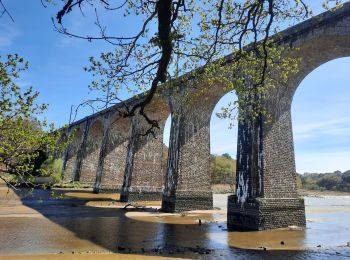 Trail Walking Auray - PR_56_Auray_AA_01_Circuit4a_Belle-Boucle-A-Auray_20210413 - Photo