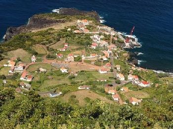 Tour Zu Fuß Calheta de Nesquim - Calheta do Nesquim - Photo