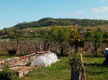 Randonnée Marche Moroges - st Benoît. - Photo