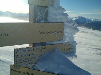 Percorso Sci alpinismo Fillière - SOUS DINE - Photo