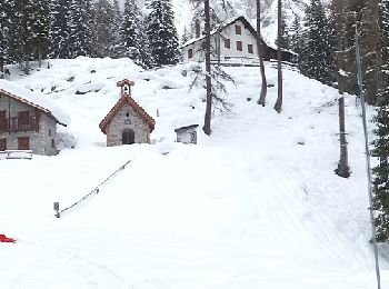 Randonnée A pied Forni di Sopra - Anello di Bianchi - Photo