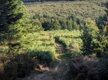 Tocht Trail Arfons - raf ballade - Photo