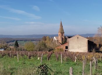 Randonnée Marche Étrigny - Etrigny RST - Photo