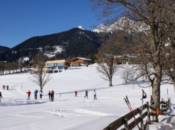 Tour Zu Fuß Ramsau am Dachstein - Kulmberg Rundweg 