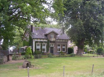 Randonnée A pied Apeldoorn - Albapad - Photo