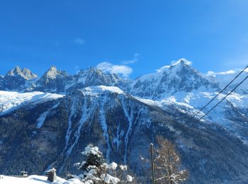 Excursión Raquetas de nieve Chamonix-Mont-Blanc - 20230131 Chamonix Bois Prin - Photo