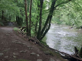 Randonnée V.T.T. Paliseul - vtt maissin lesse redu sechery - Photo