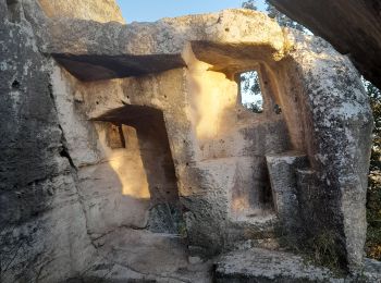 Tour Wandern Beaucaire - Abbaye de St Roman - Photo